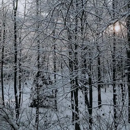 Adam I Cicha Woda * Zakopane