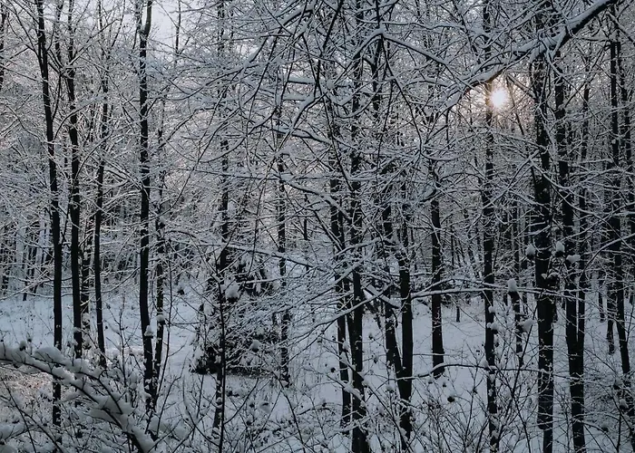 Adam I Cicha Woda * Zakopane